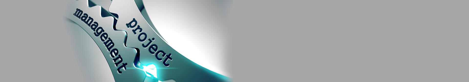 Project Management banner